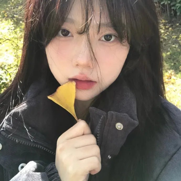 龙的心